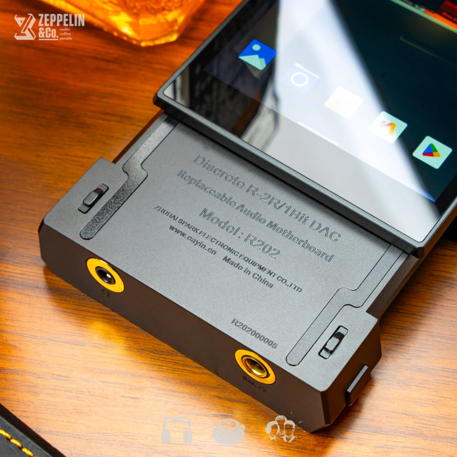 Cayin R202 Module (For N6III) - Image 2