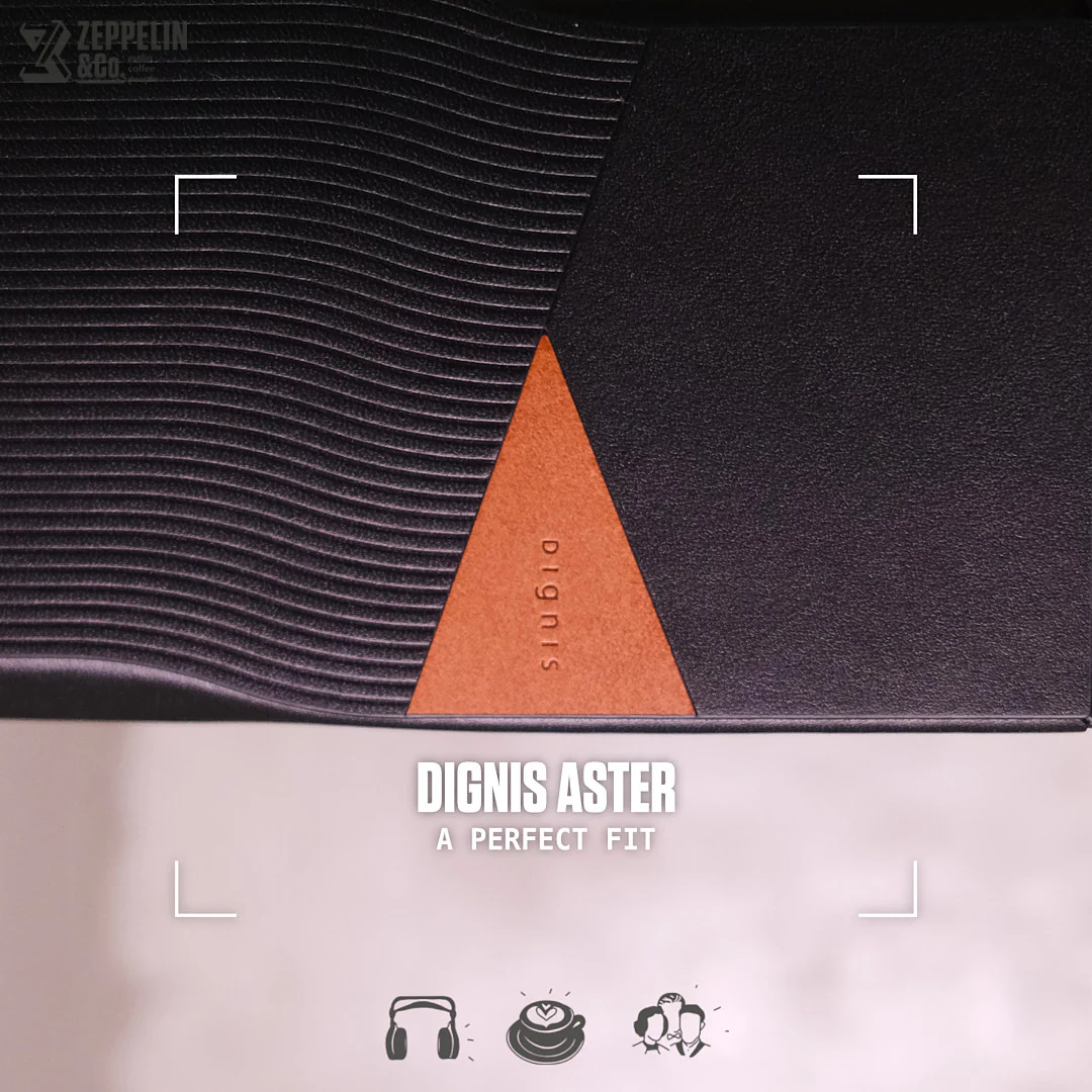 Dignis Aster Hiby R6 Pro II Case