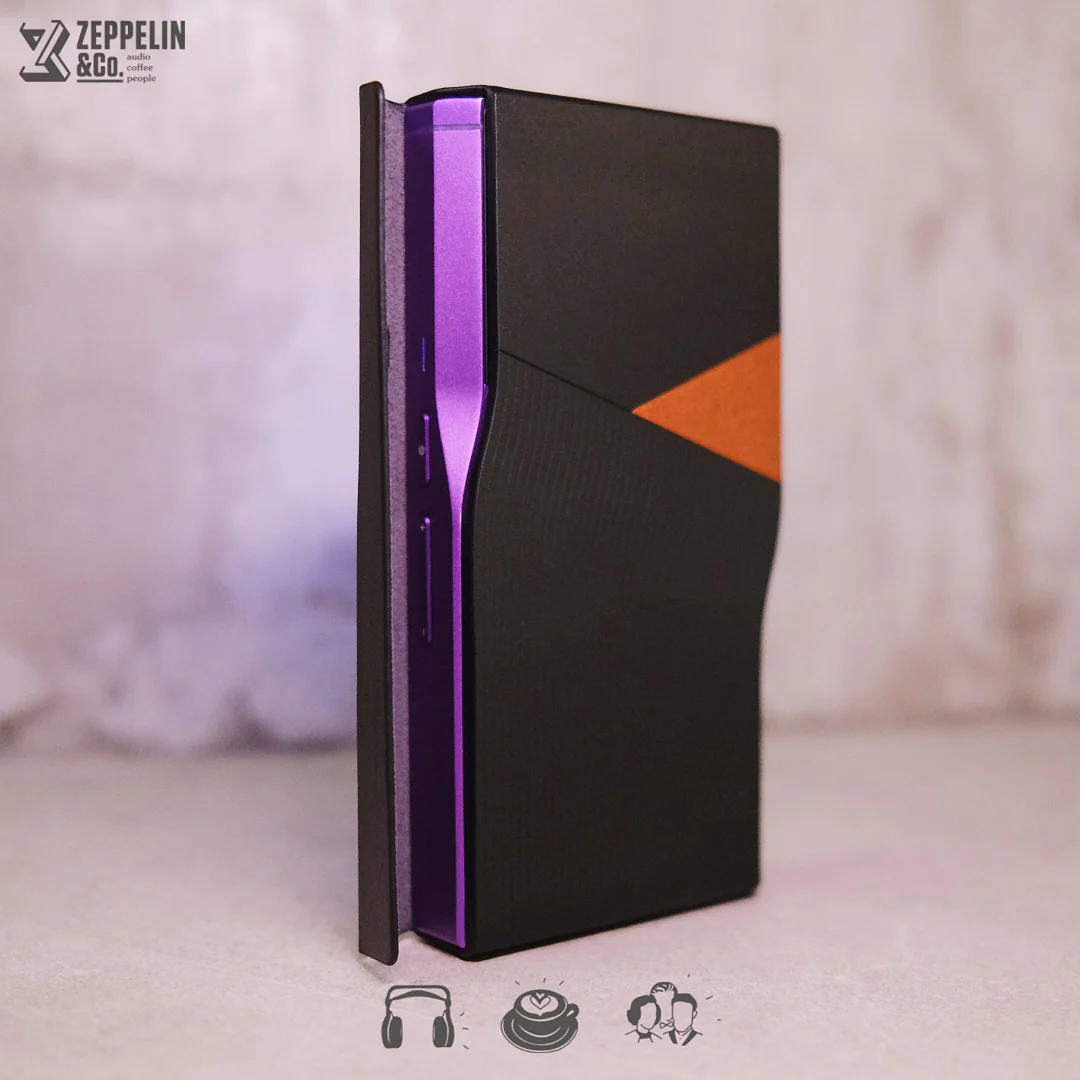 Dignis Aster Hiby R6 Pro II Case - Image 10