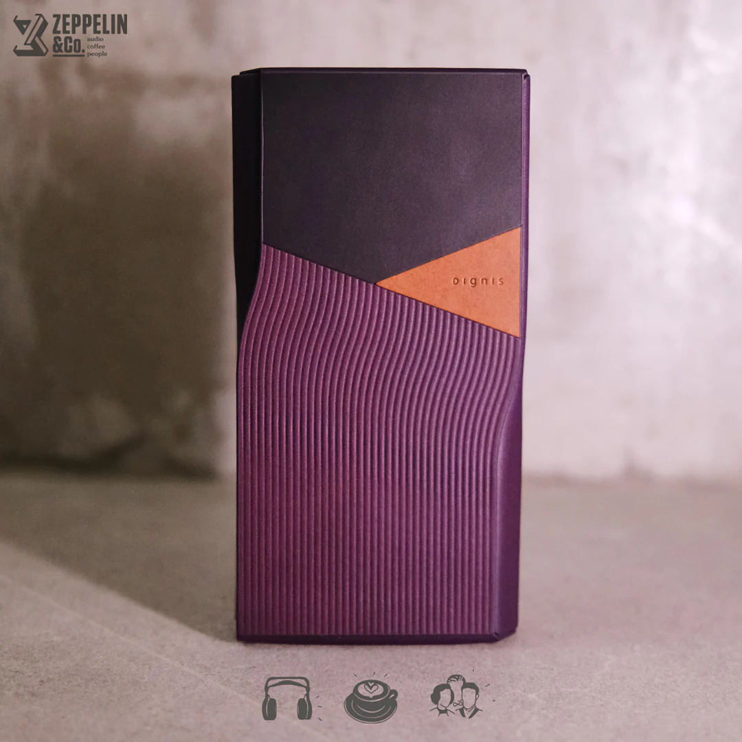 Dignis Aster Hiby R6 Pro II Case - Image 2