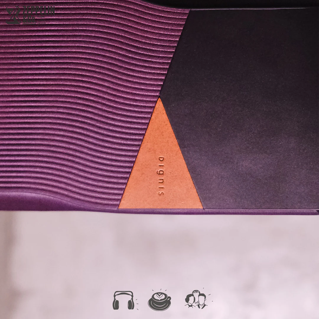 Dignis Aster Hiby R6 Pro II Case - Image 3