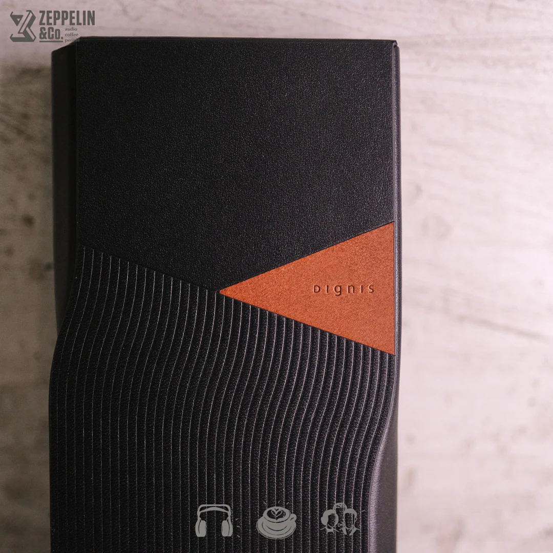 Dignis Aster Hiby R6 Pro II Case - Image 5