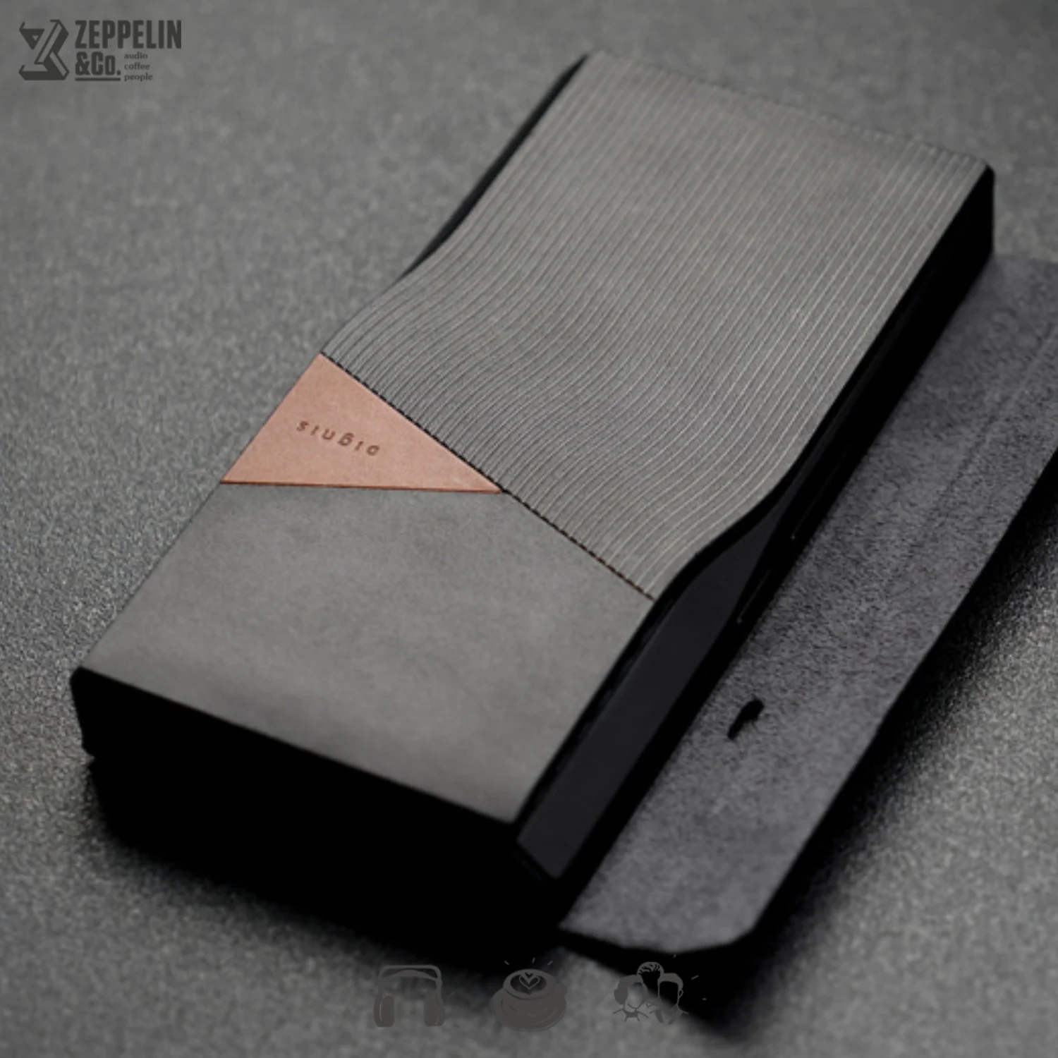 Dignis Aster Hiby R6 Pro II Case - Image 7