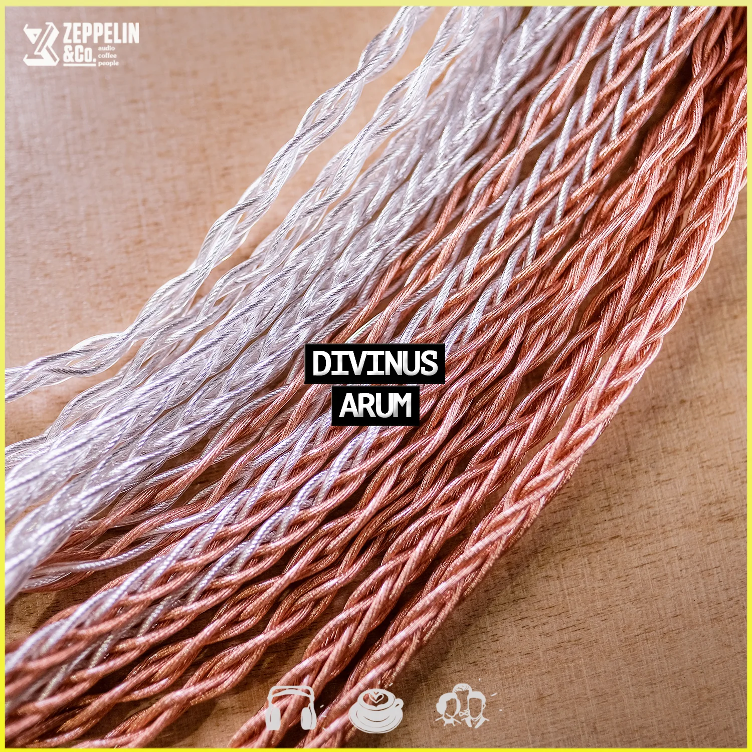 Divinus Arum Cables