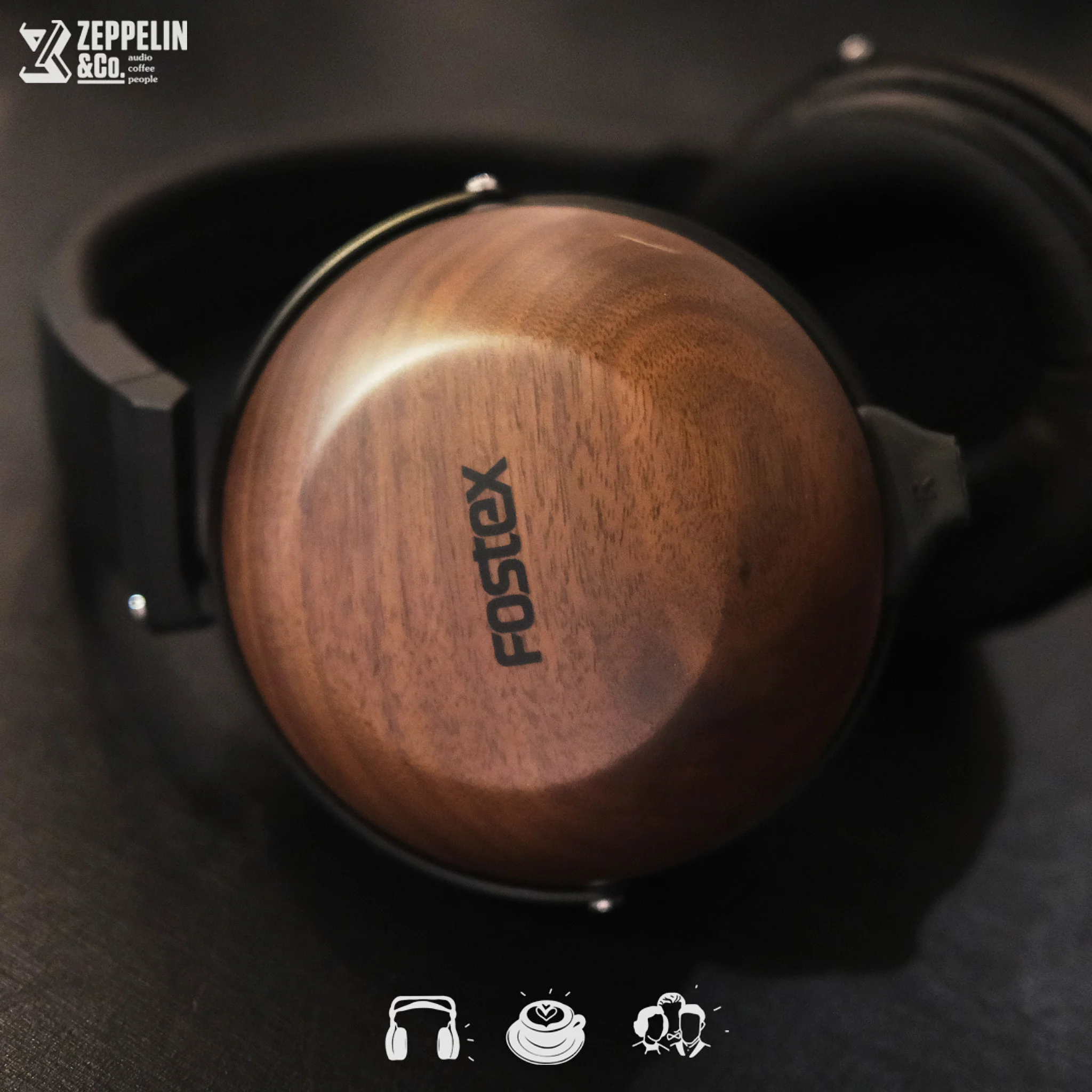 Fostex TH610