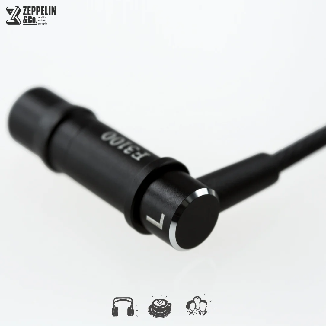 Final Audio F3100 - Image 4