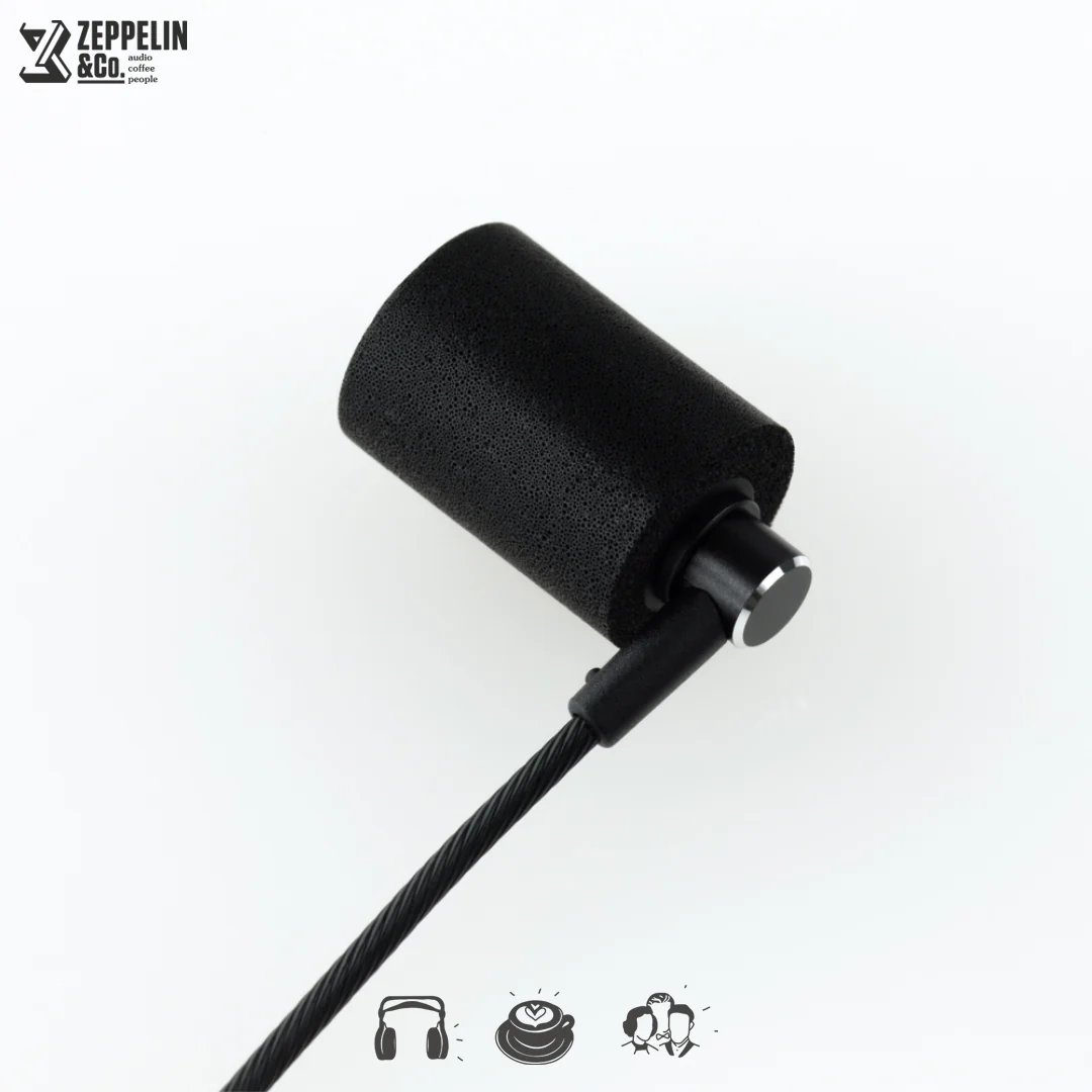 Final Audio F3100 - Image 6