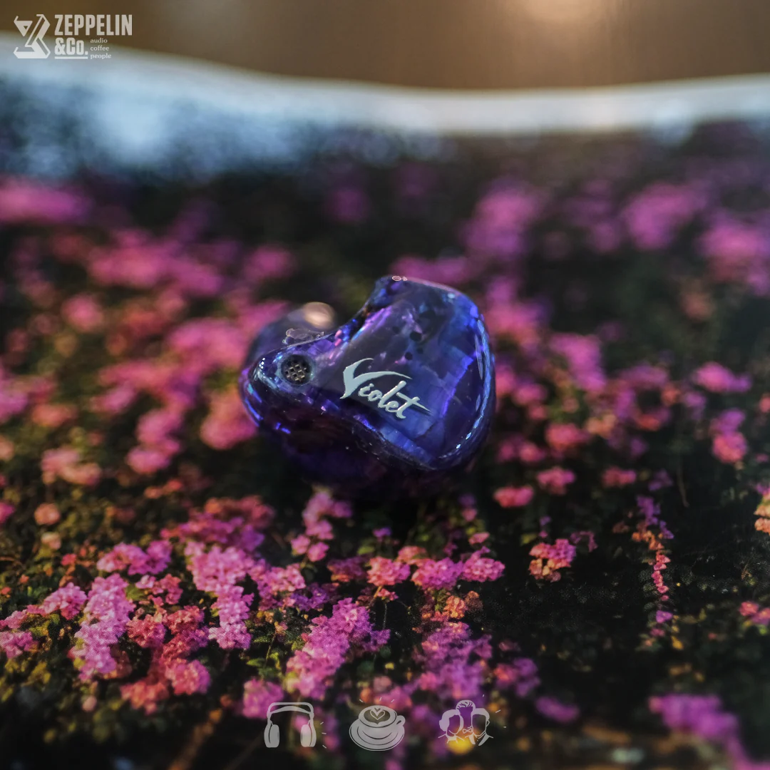 Hidition Violet (CIEM) - Image 4