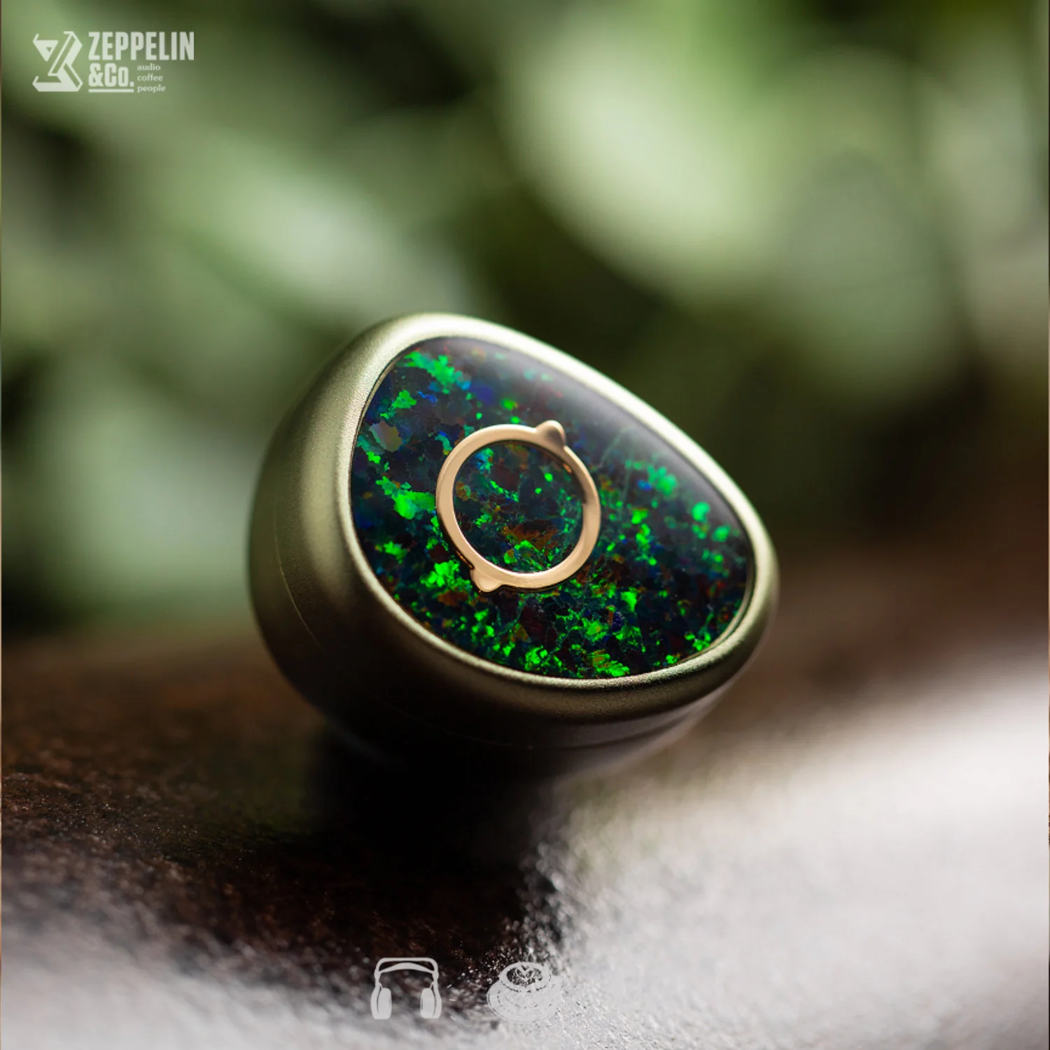 Lime Ears Terra - Image 2