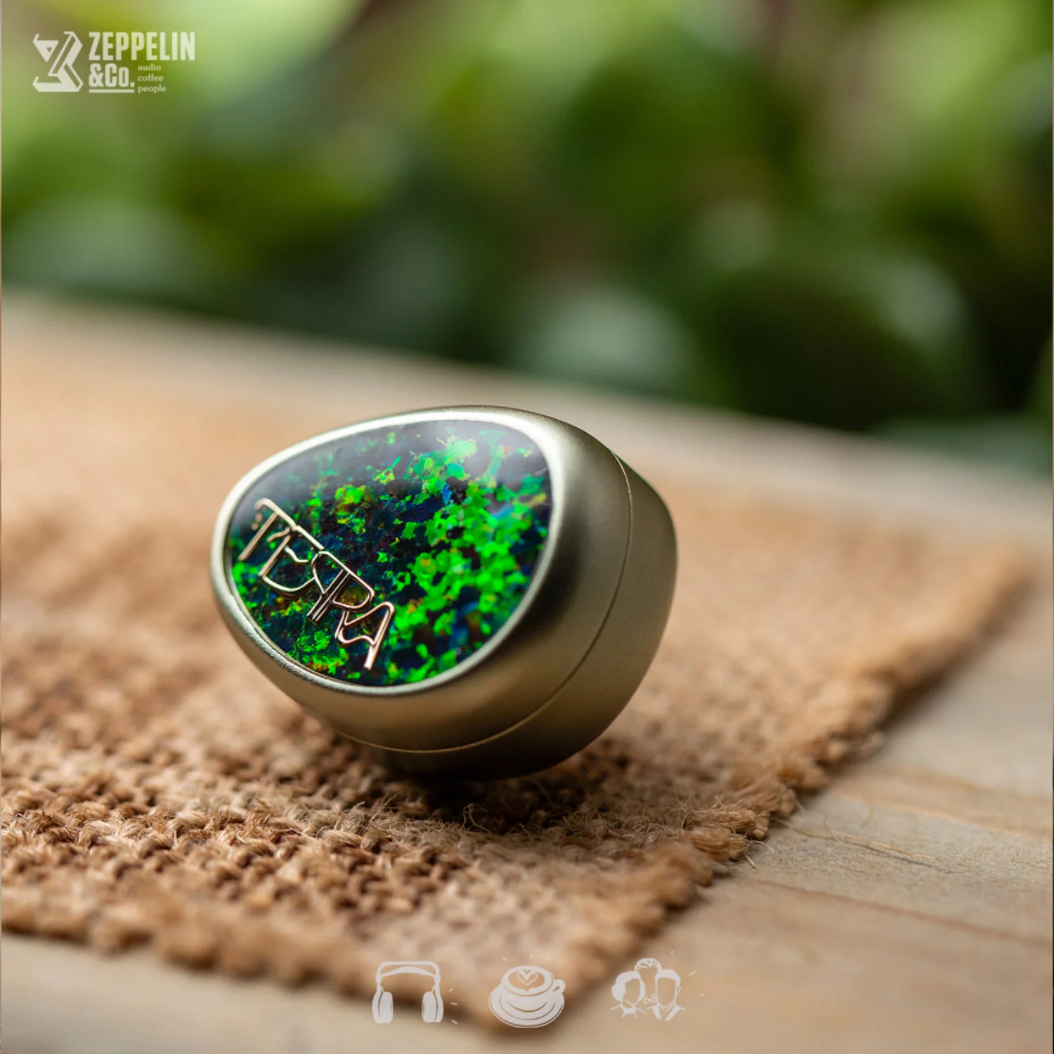 Lime Ears Terra - Image 4
